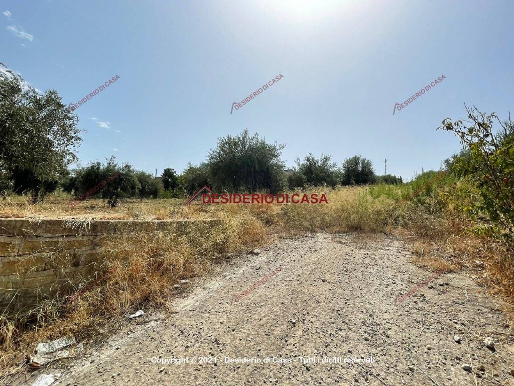 Terreno Agricolo Strada Provinciale Della Traversa Santa Flavia Rif