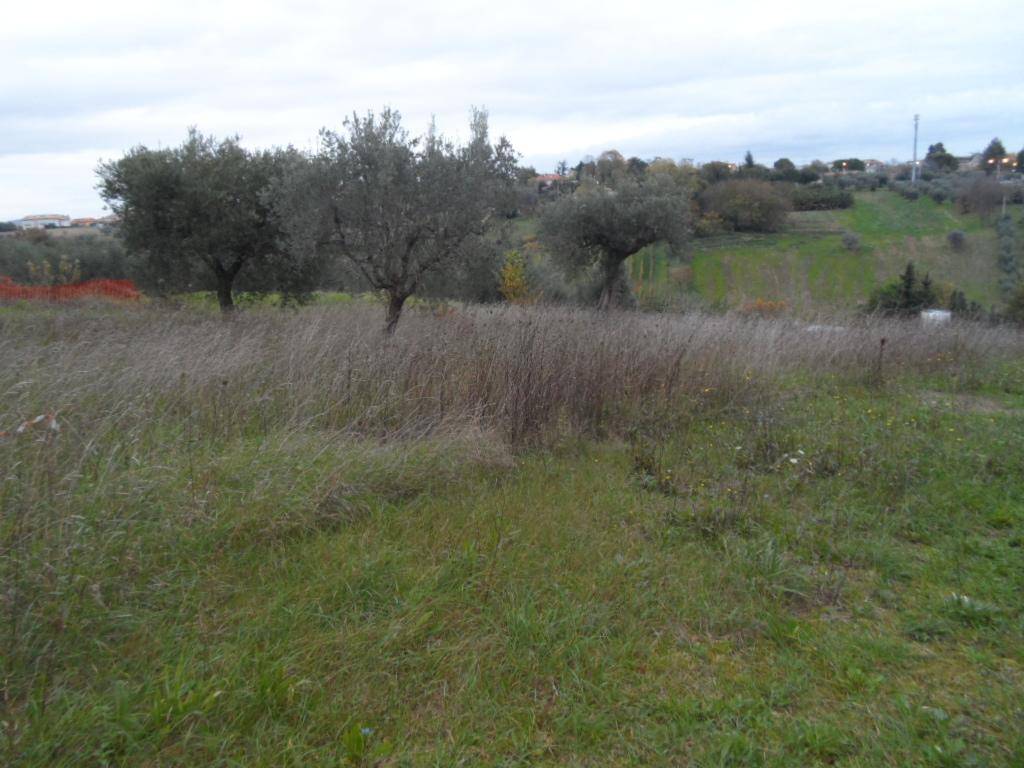 Terreno Edificabile Zona Piattoni Castel Di Lama Rif