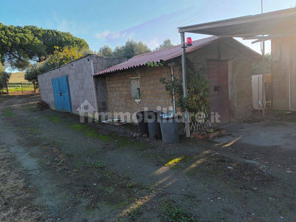 Terreno Agricolo Civitavecchia Rif Immobiliare It