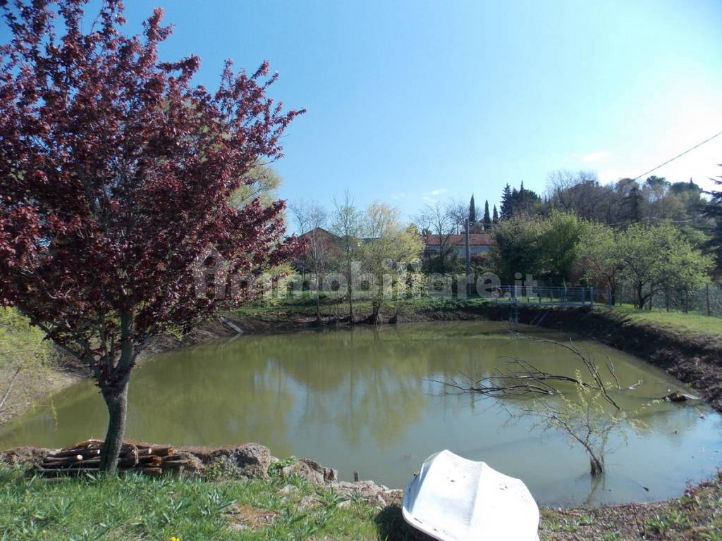 Terreno Agricolo Bagnolo Castrocaro Terme E Terra Del Sole Rif