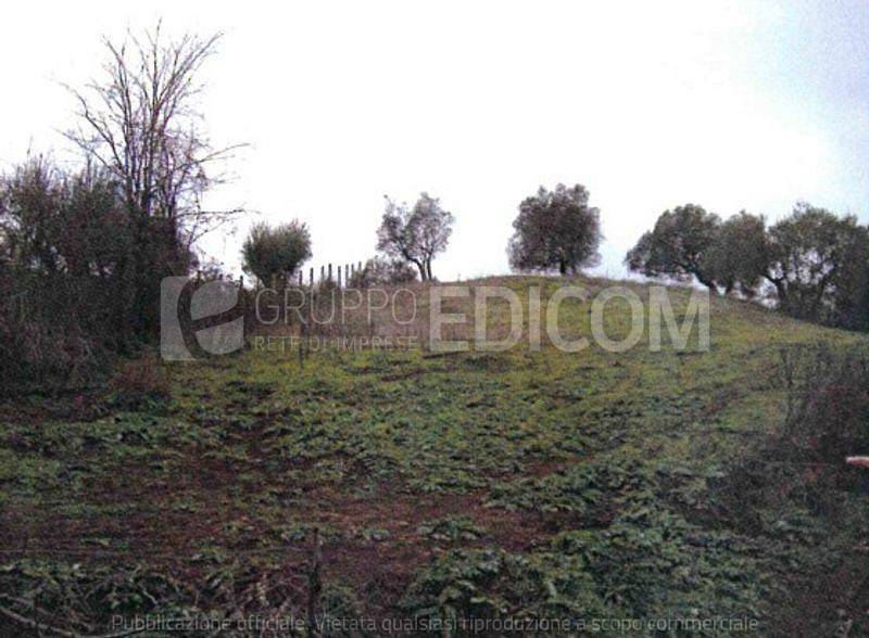 Asta Per Terreno Agricolo Castel Giuliano Bracciano Rif 102978860