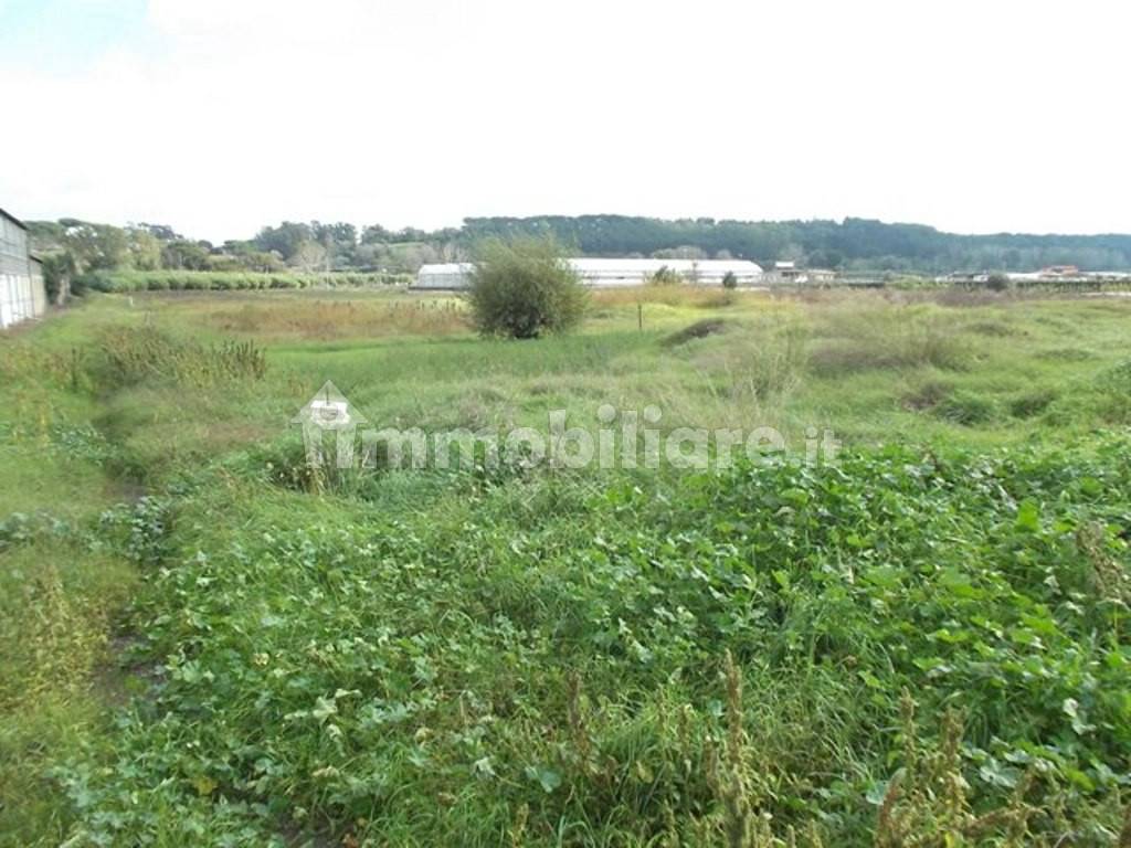 Terreno Agricolo Via Del Casale D Antoni Roma Rif