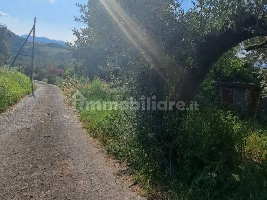 Vendita Villa Unifamiliare In Piazza Trieste Sant Agata De Goti Da