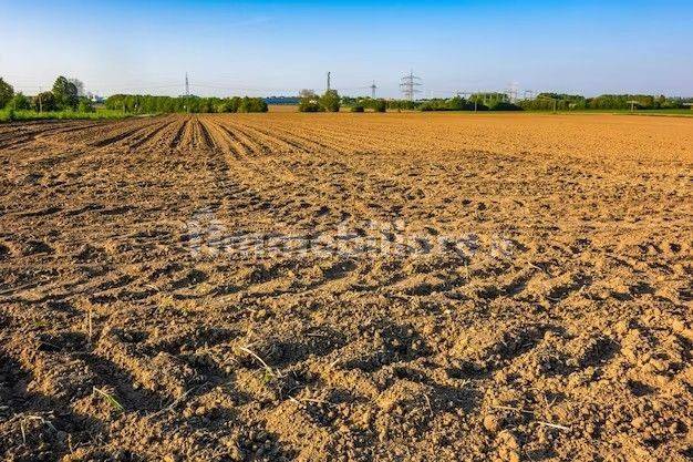 Terreno Agricolo Sp Baia E Latina Rif Immobiliare It