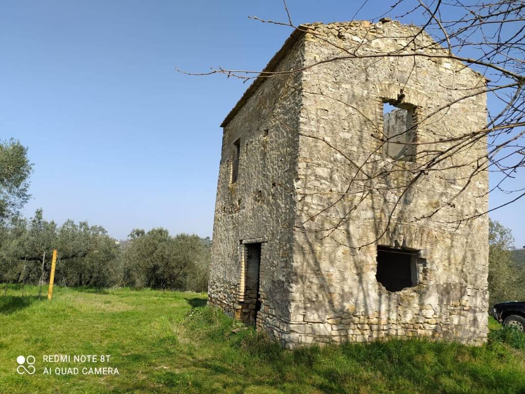 Terreno Agricolo Strada Provinciale Montelibretti Montelibretti Rif