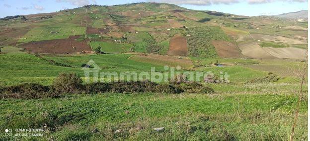 Asta Per Terreno Agricolo Contrada Abbatello Castellammare Del Golfo