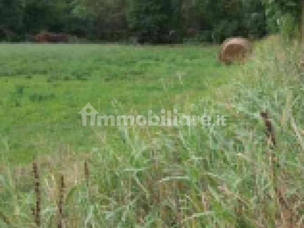 Asta Per Terreno Agricolo Via Industriale Rezzato Rif