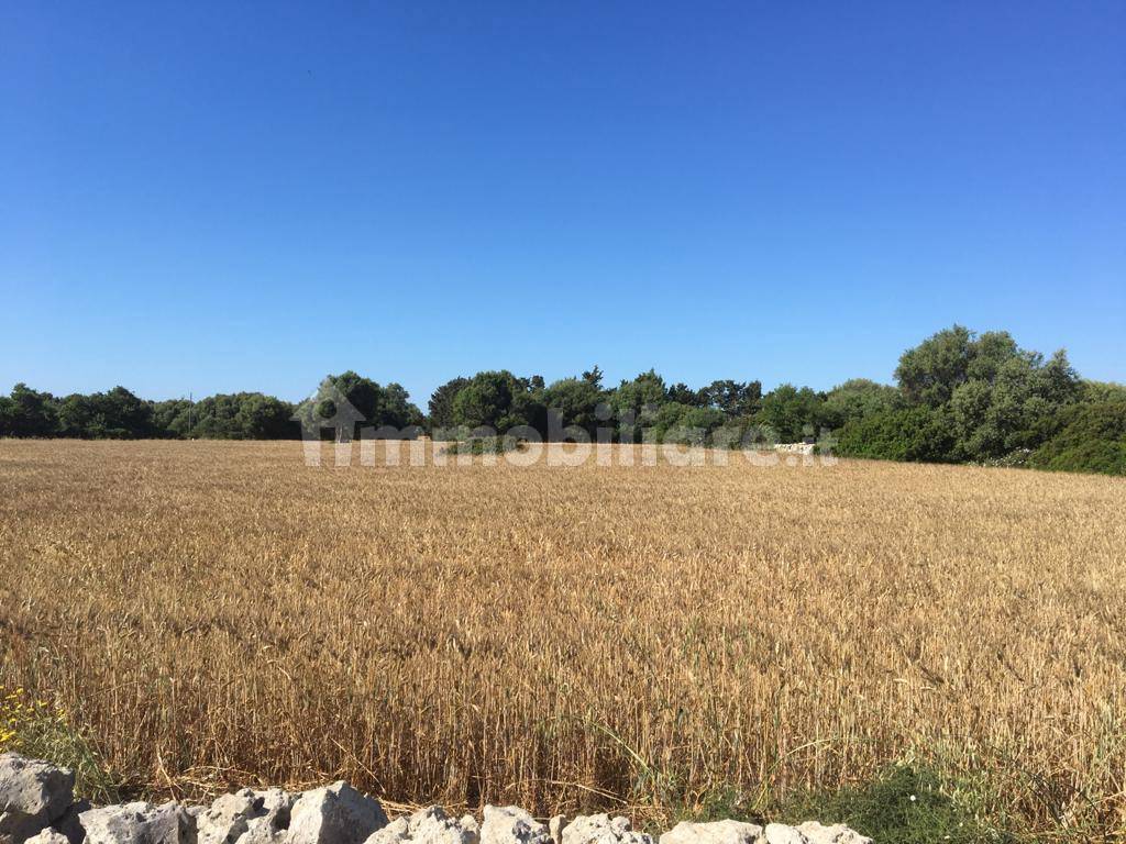 Terreno Agricolo Traversa Case Messina Siracusa Rif