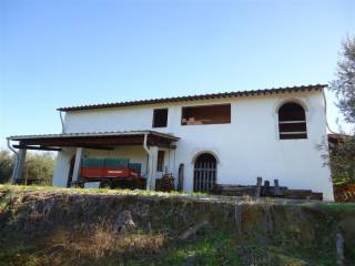 San Miniato vendesi azienda agricola