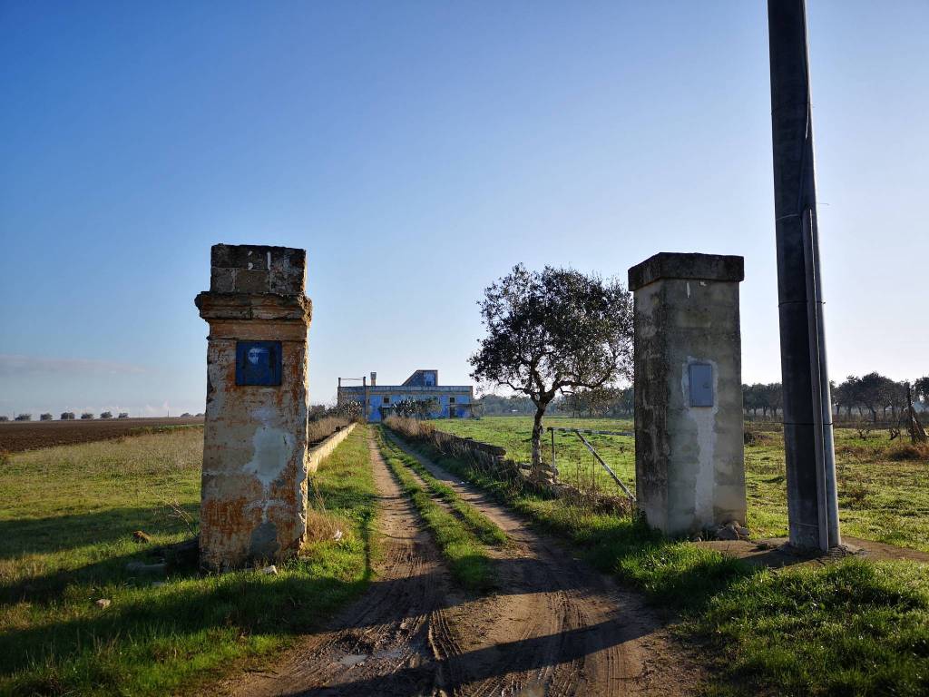 Veglie casale con sei ettari di terreno agricolo