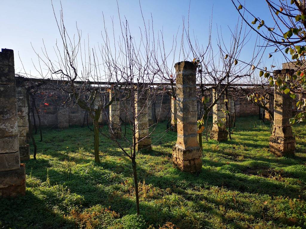 Veglie casale con sei ettari di terreno agricolo