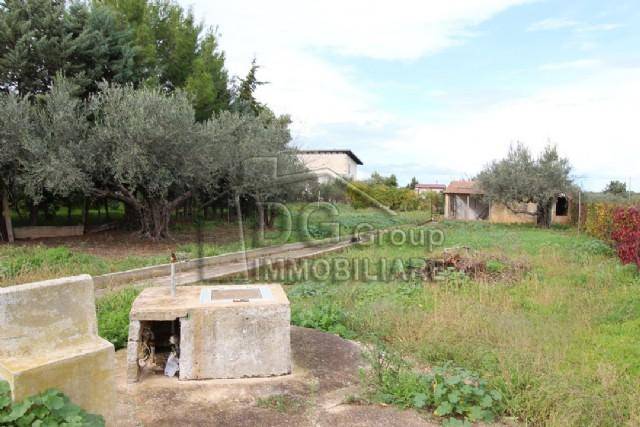 Villetta indipendente in contrada bosco falconeria - 19