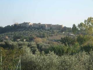 Foto - Vendita Rustico / Casale buono stato, Magliano in Toscana, Maremma e Argentario