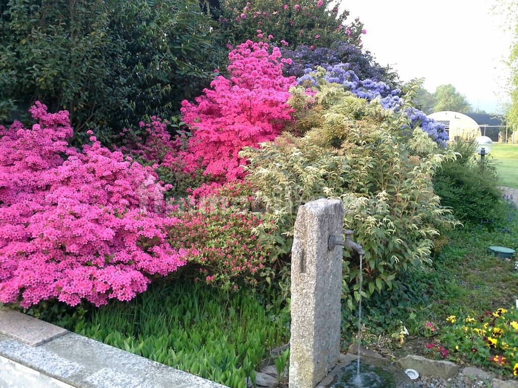 particolare del giardino