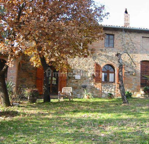 Rustico - Casale in vendita a Ficulle