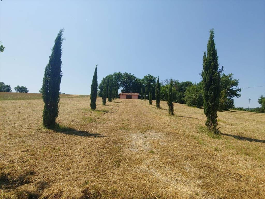 Terreno agricolo via fra' benedetto tiezzi 1, pozzo della chiana, foiano della chiana