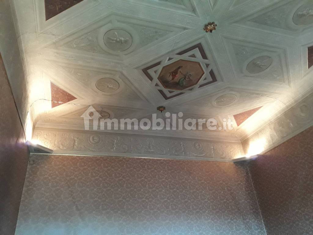 PARTICOLARE DEL SOFFITTO