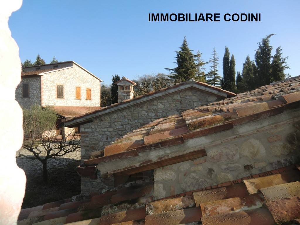 immobili