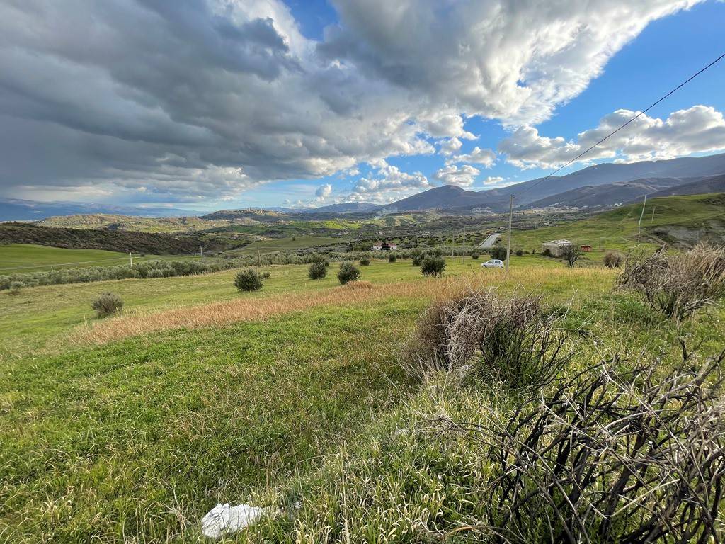 Terreno agricolo sp94, lattarico