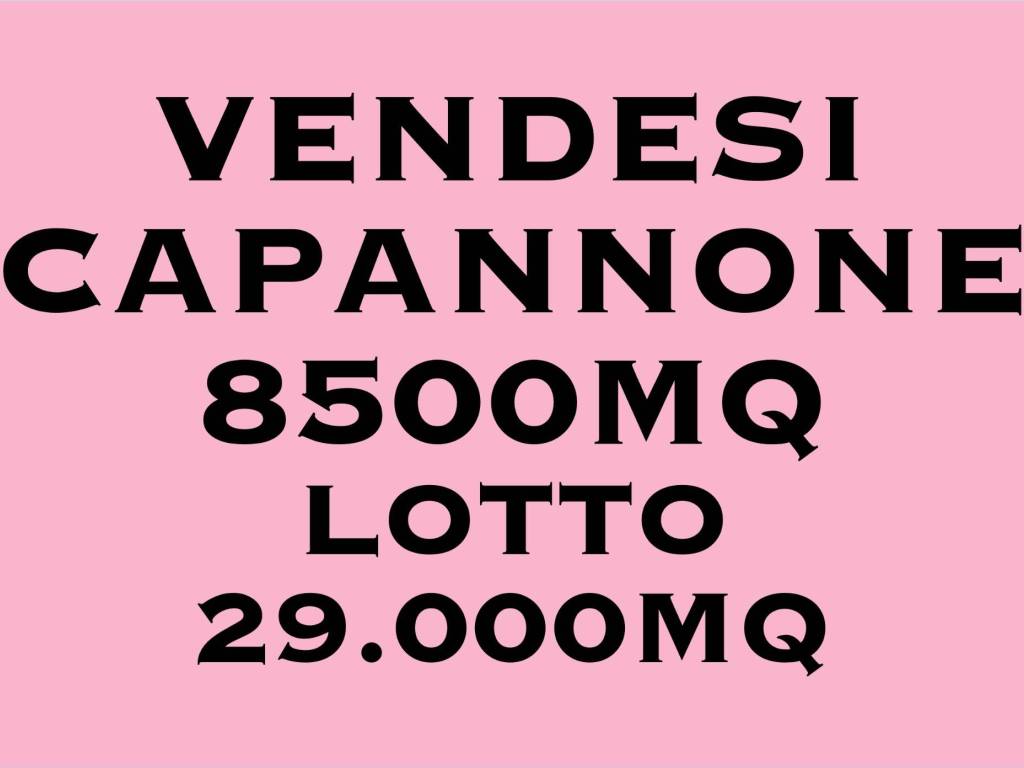 Capannone, mirandola