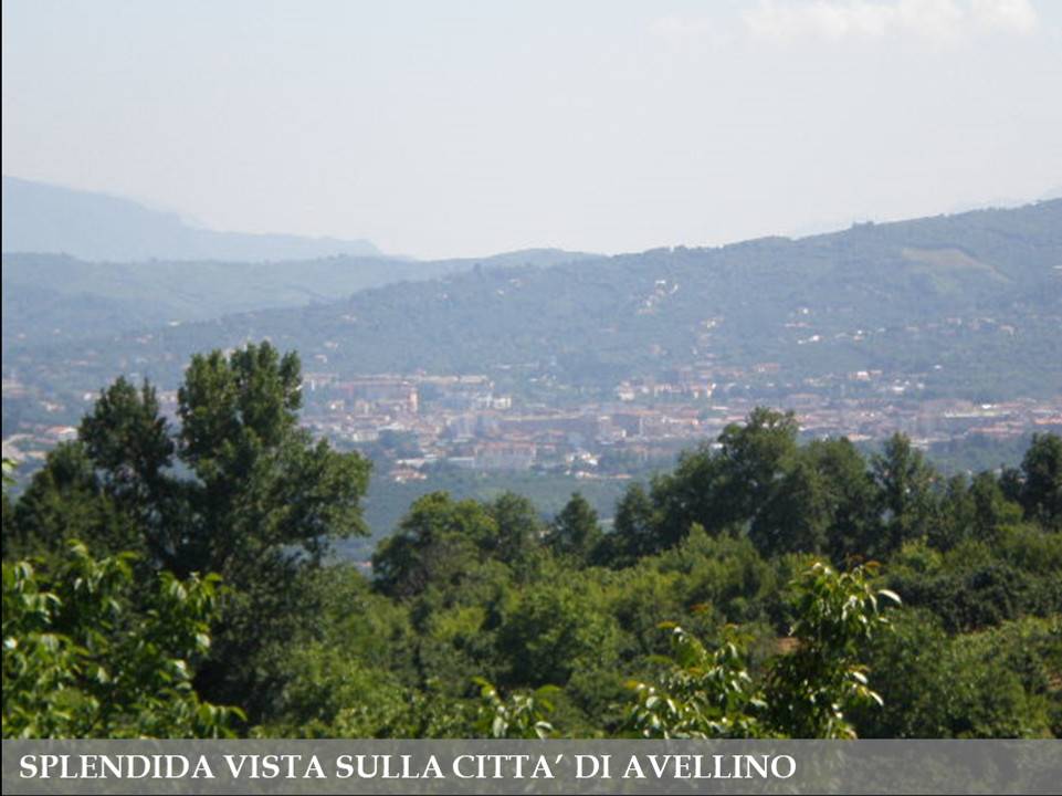 Terreno edificabile via dante alighieri, grottolella