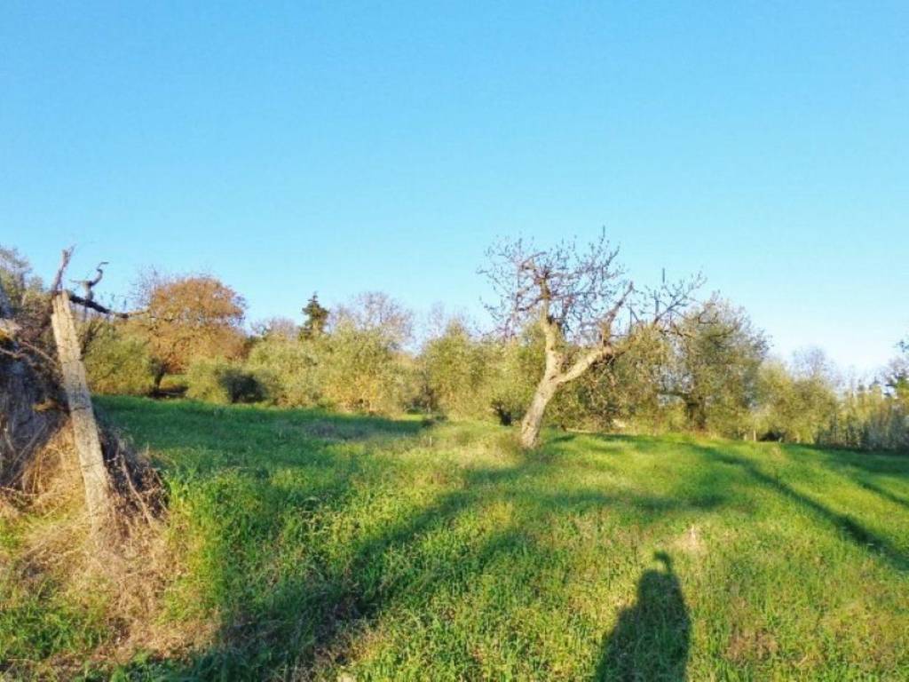 Terreno edificabile area residenziale fuori dal centro abitato, penna in teverina