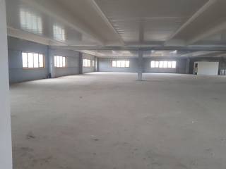 reale