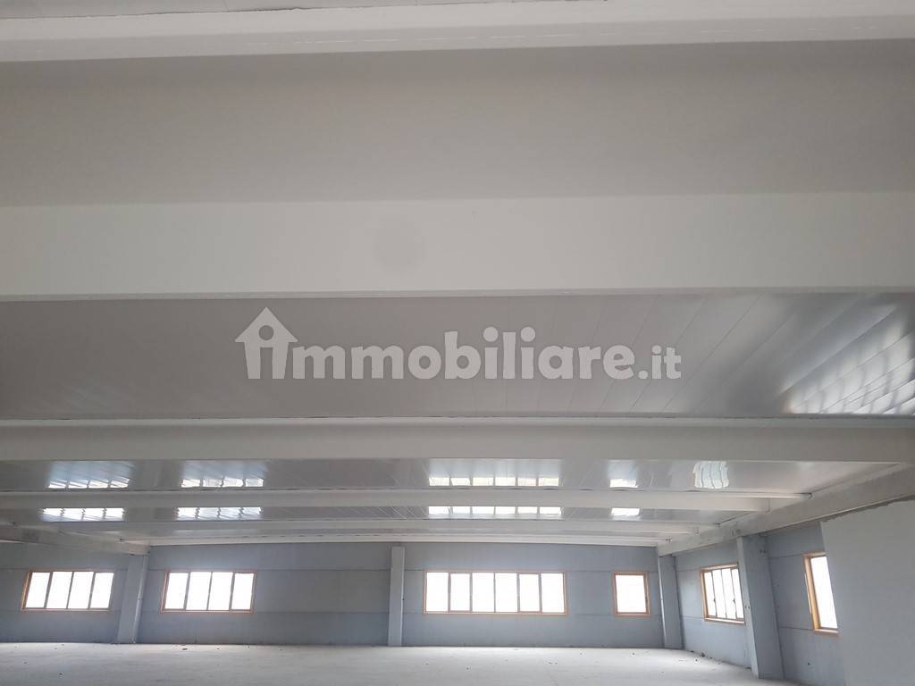 reale