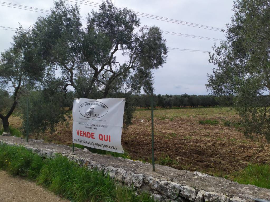 Terreno agricolo strada extra urbana vado del parco, bitritto