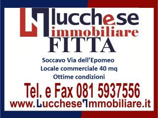 Lucchese Immobiliare