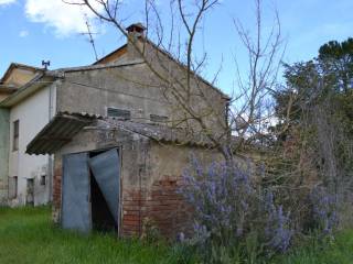 RUDERE CORTONA CAMPAGNA