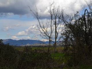 RUDERE CORTONA CAMPAGNA