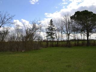 RUDERE CORTONA CAMPAGNA