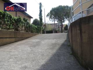 Zona