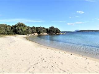 SPIAGGIA PORTISCO