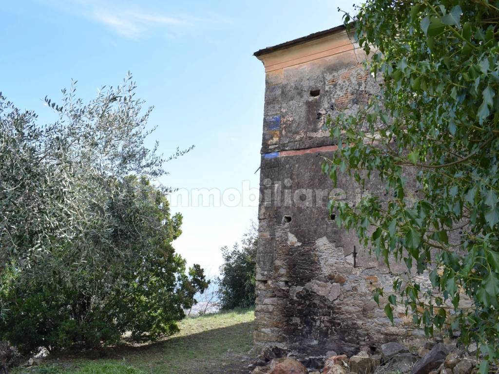 Vista panoramica dall'ingresso della proprietà