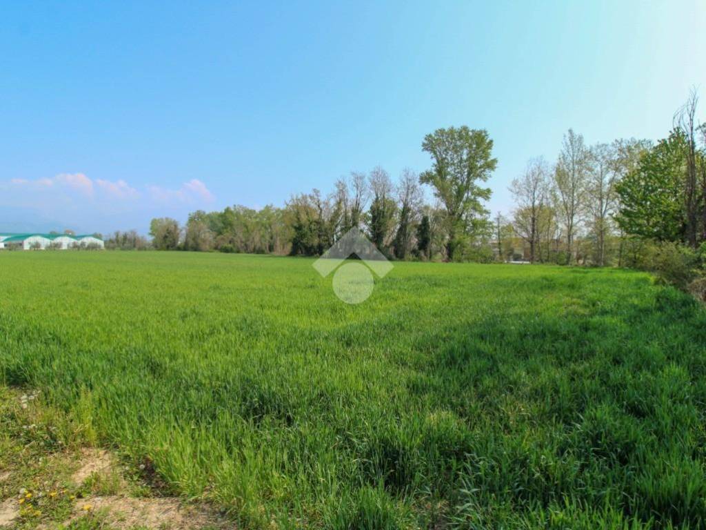 TERRENO AGRICOLO