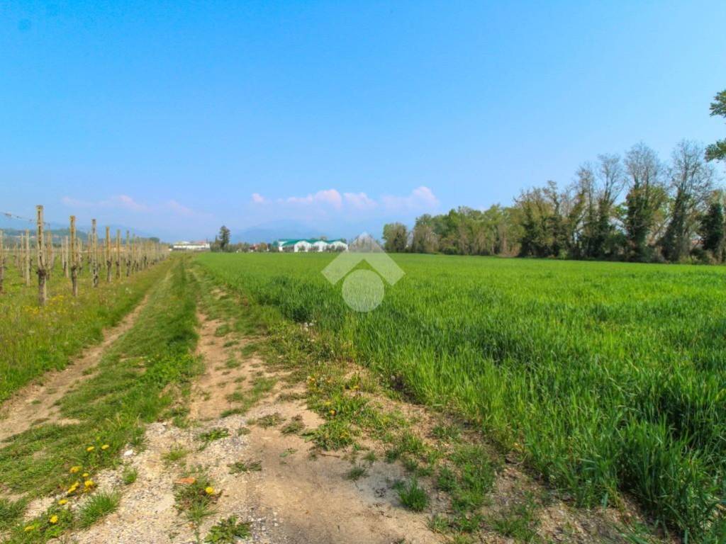 TERRENO AGRICOLO