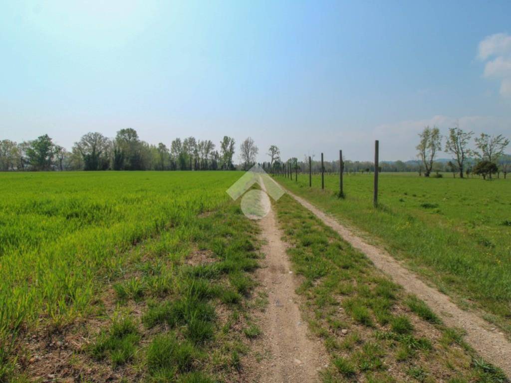 TERRENO AGRICOLO