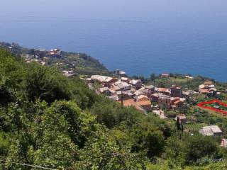 Foto - Vendita Rustico / Casale da ristrutturare, Framura, Riviera di Levante