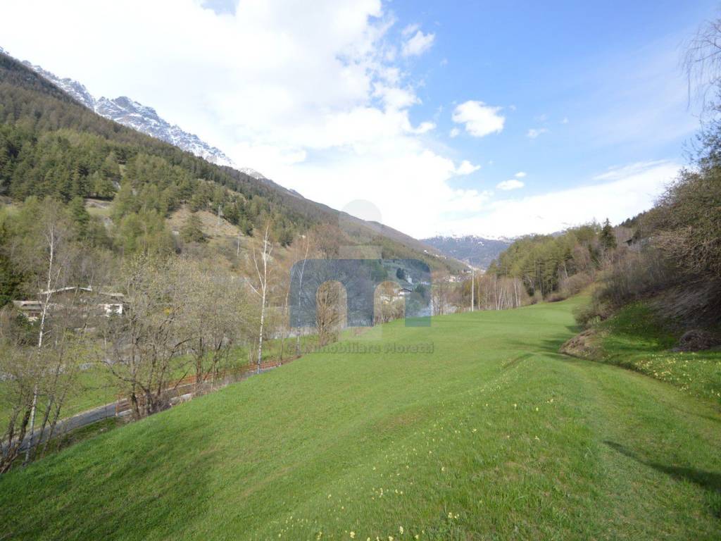 Terreno agricolo via sassello, centro, bormio