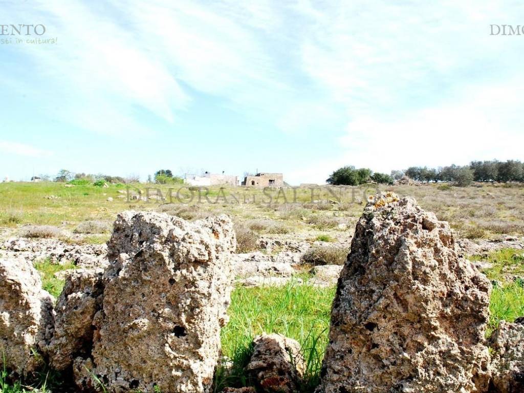 terreno e casale