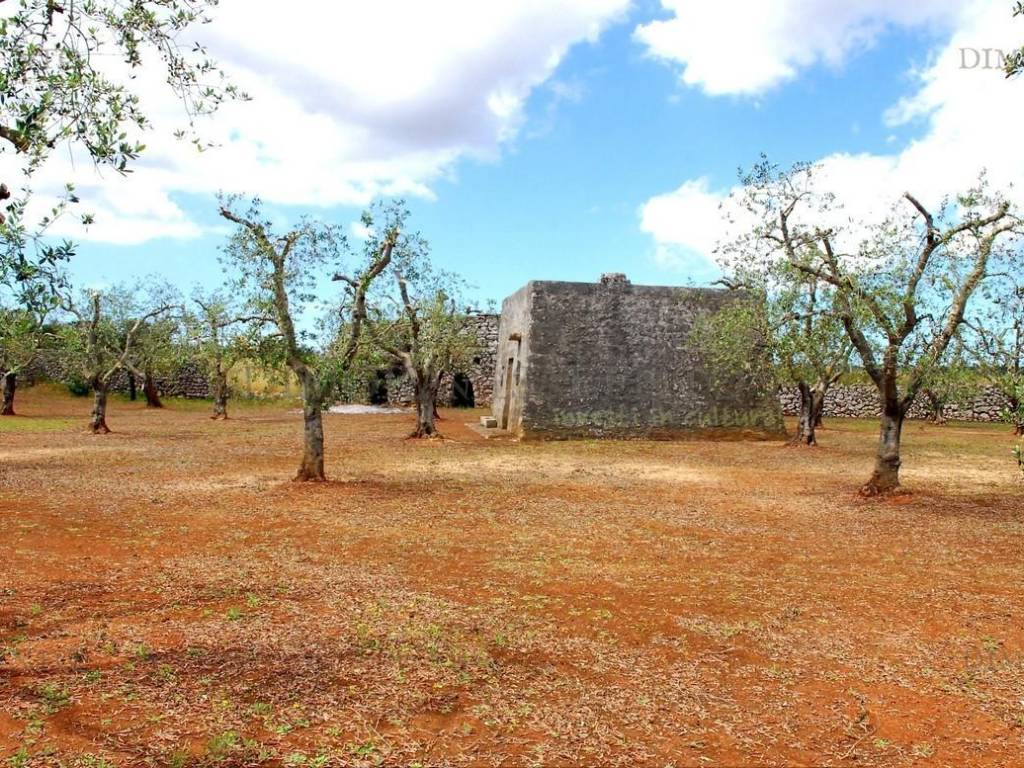 terreno e casale