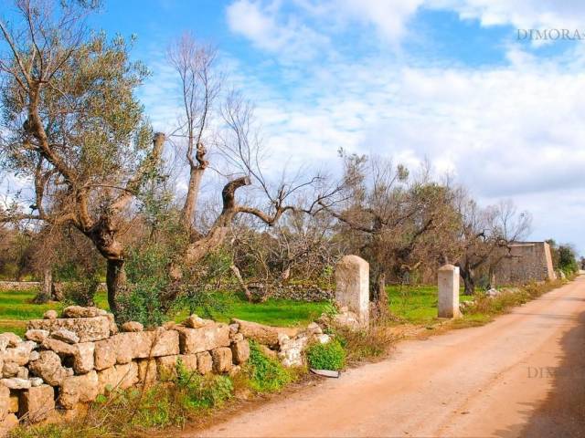 strada asfaltata di accesso