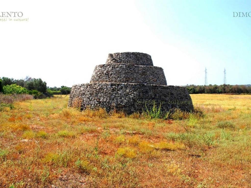 pajara a tre anelli