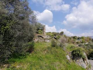 rustico