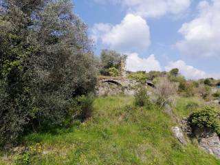 rustico
