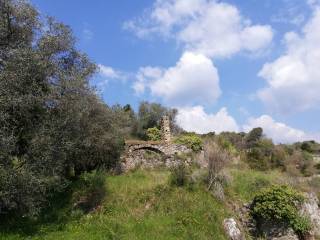 rustico