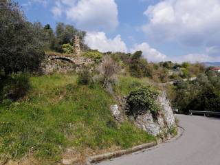 rustico