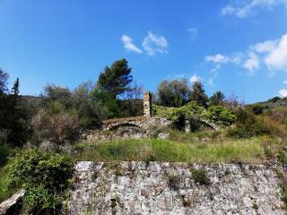 rustico